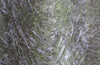 Compton fibreglass roof work